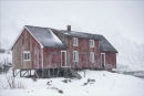 Derelict, Henningsvaer