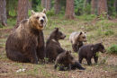 Family group 2
