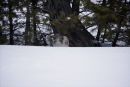 Hidden