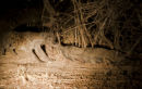 Hyena cache