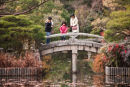 Japanese Garden