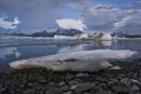 Jokusarlon Iceberg