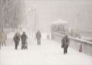 Let it snow..let it snow