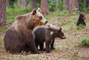 Look Mum !