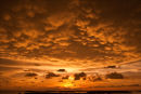 Mammatus Clouds.