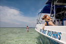 Mia, "Wild about Dolphins "