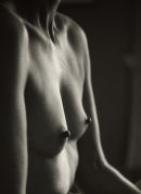 Mono Torso