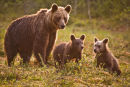 Motherly Love