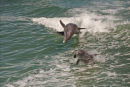 Mum and young