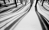 Shadow play