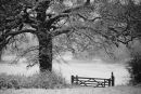 More snow.