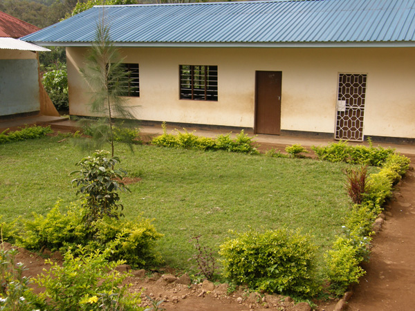 The local school