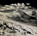 Catstye Cam