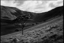High Cup Valley