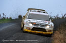 Petter Solberg