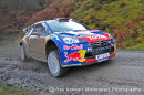Sebastian Loeb