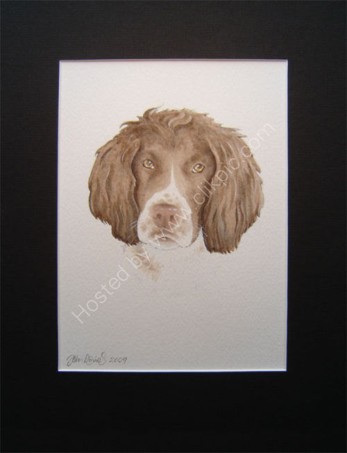 What your finished Pet Portrait will look like.