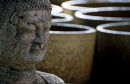 Buddha head