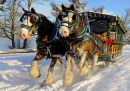 Winter playground 3