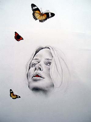 Butterfly