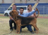 Mexican Champion