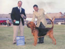 Farlap Curate (mexican Champion)