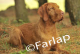 Amiryck Atlas of Farlap