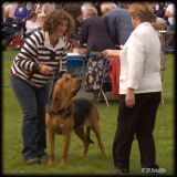 Richmond Ch. Show 2010