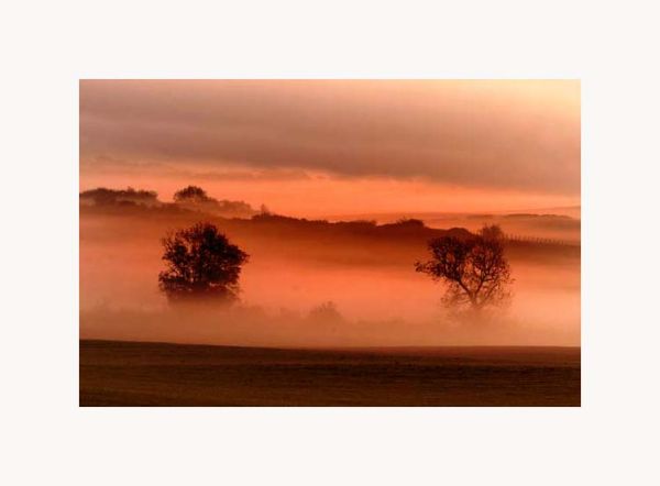 mist