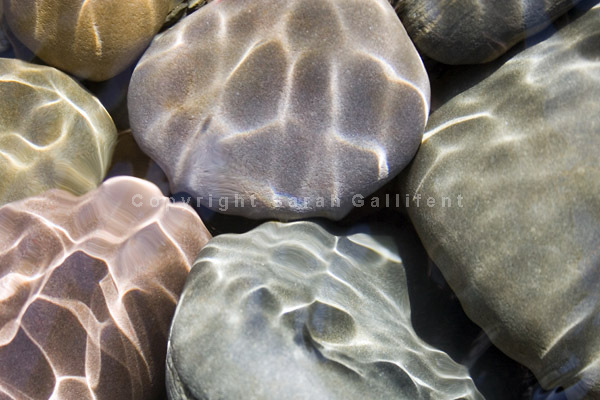Rippling Pebble Pool