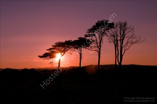 Murlough