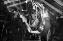 The Bassics-1