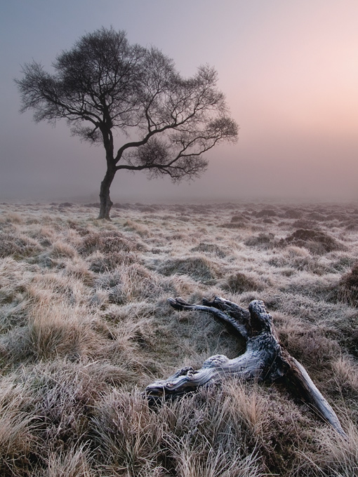 Frost on Hathersage Moor 