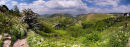 Spring in Monsal Dale