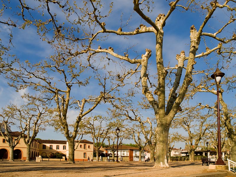 Village square