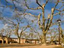 Village square