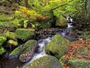 Wyming Brook 3