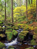 Wyming Brook