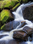 Wyming Brook 2