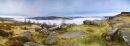 Surprise view inversion 