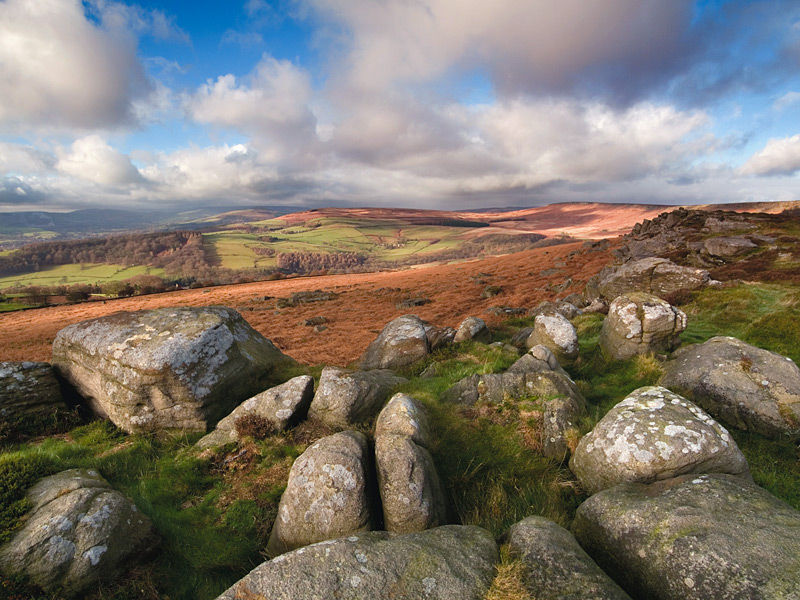 Rocky Moorland