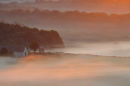 Lost in the Mist