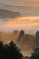 Mists of France