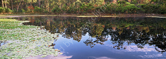 Mirror at Eaglereach.