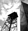 Contrasting Structures.