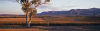 Hunter Valley Vinyards