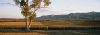 Hunter Vineyard.