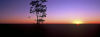 Lightning Ridge