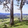 Arthur Streeton's Hunter Valley