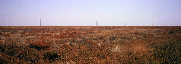 Bleak Outback.